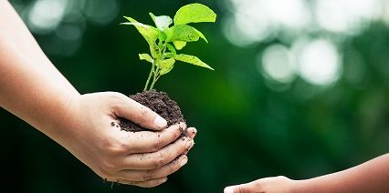 person handing a plant to another person