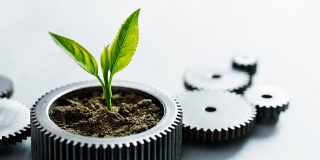 plant inside a gear